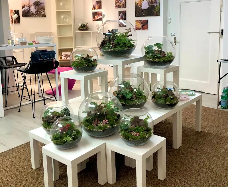 Glossy Bugs — Zoofachhandel in Baden, Aargau. Bewertung 5.0/5.