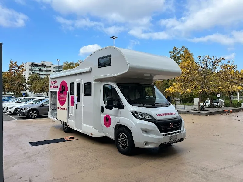 Groom Atelier — Animalerie, Spreitenbach, Argovie. Foto 2