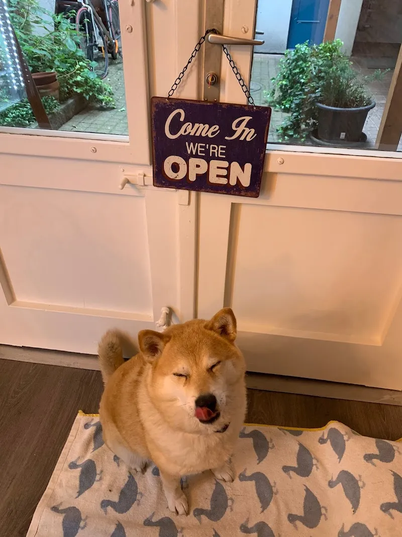 Hunde Shop — Zoofachhandel in Rheinfelden, Aargau. Bewertung 1.0/5.