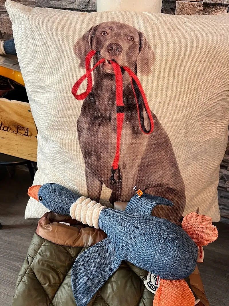 Hunde Shop — Animalerie, Rheinfelden, Argovie. Foto 2