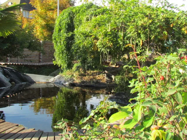 KOIRAMA — Zoofachhandel in Othmarsingen, Aargau. Bewertung 1.0/5.