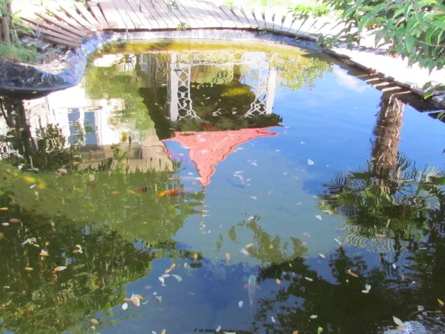 KOIRAMA — Animalerie, Othmarsingen, Argovie. Foto 2