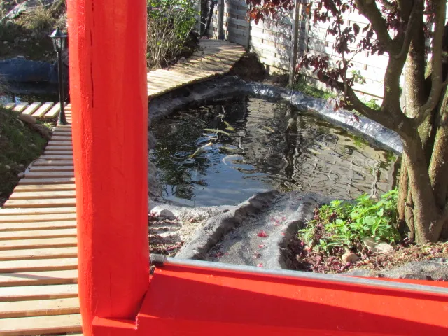 KOIRAMA — Animalerie, Othmarsingen, Argovie. Foto 3