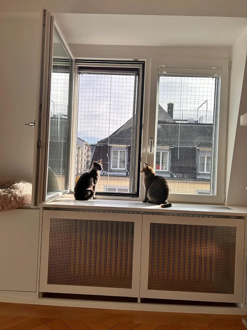 Katzenschutz GmbH — Servizio per animali, Spreitenbach, Argovia. Foto 2