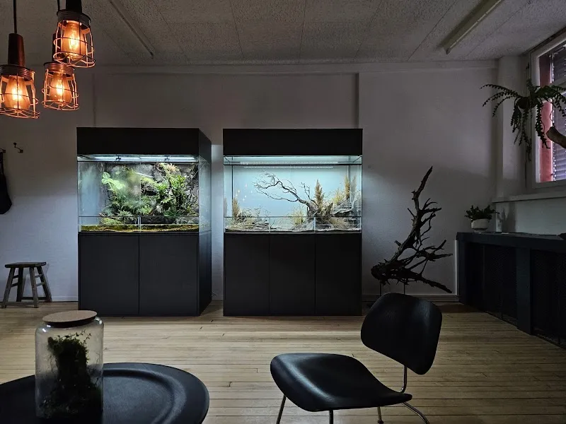 Kono Terra - Terrarien & Vivarien — Zoofachhandel in Schönenwerd, Solothurn. Bewertung 5.0/5.