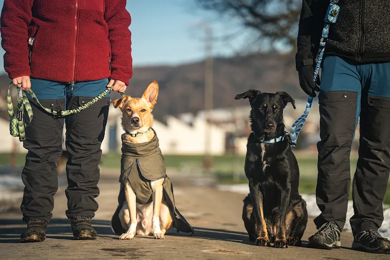 Pfotentraum — Zoofachhandel in Seon, Aargau. 
