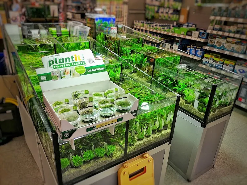 QUALIPET Center Dättwil — Zoofachhandel, Baden, Aargau. Foto 3