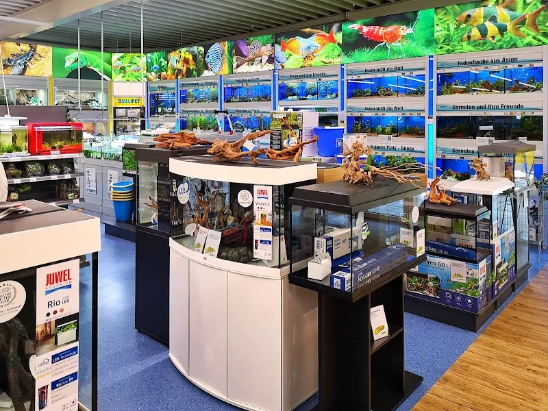 QUALIPET Center Gebenstorf — Animalerie, Gebenstorf, Argovie. Foto 3