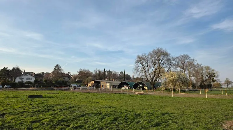 Écurie de la Seymaz — Katzenpension, Choulex, Genf. Foto 2