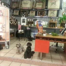 Voser Susanne — Zoofachhandel in Brugg, Aargau. Bewertung 4.0/5.