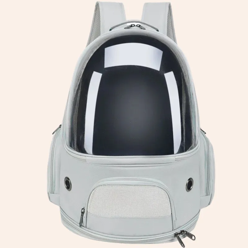 Woodycats — Zoofachhandel, Würenlingen, Aargau. Foto 2