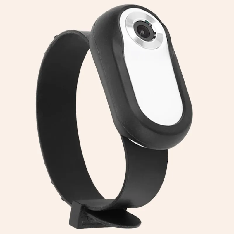 Woodycats — Zoofachhandel, Würenlingen, Aargau. Foto 3