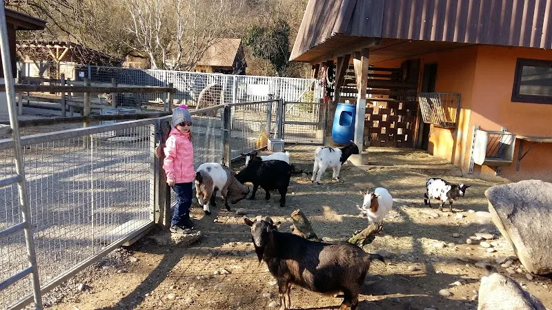 Zoo Hasel — Zoofachhandel, Remigen, Aargau. Foto 3