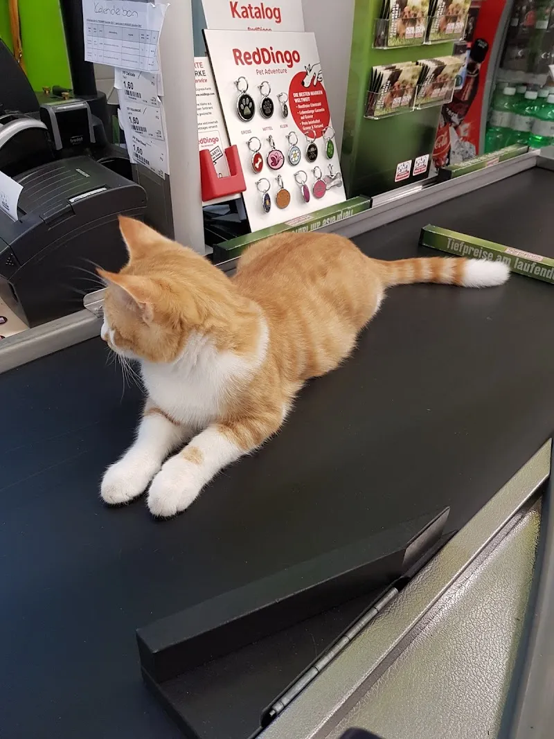 Fressnapf St. Gallen — Animalerie, St. Gallen, Saint-Gall. Foto 3