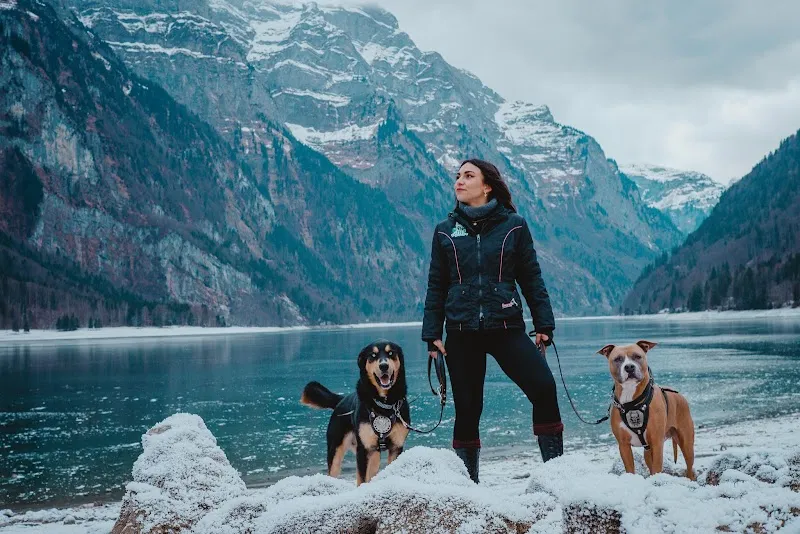 Dog Care and Help Schnyder — Katzenpension in Netstal, Glarus. Bewertung 5.0/5.