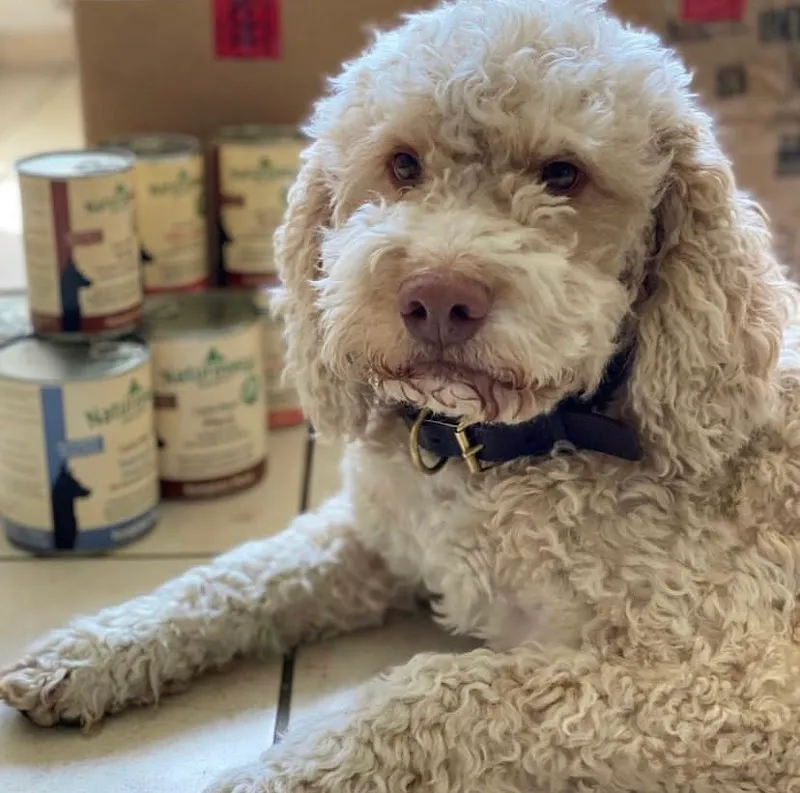 Naturavetal Schweiz — Animalerie, Kriessern, Saint-Gall. Foto 2