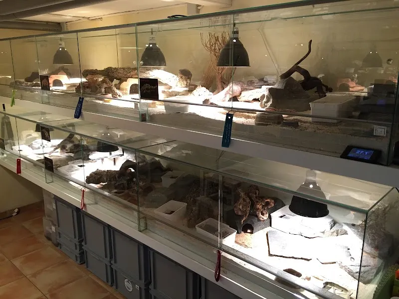 Niederberger Sunset Pets — Zoofachhandel in Frasnacht, Thurgau. Bewertung 4.9/5.