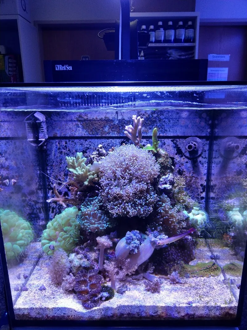 Swissriff — Animalerie, Degersheim, Saint-Gall. Foto 2