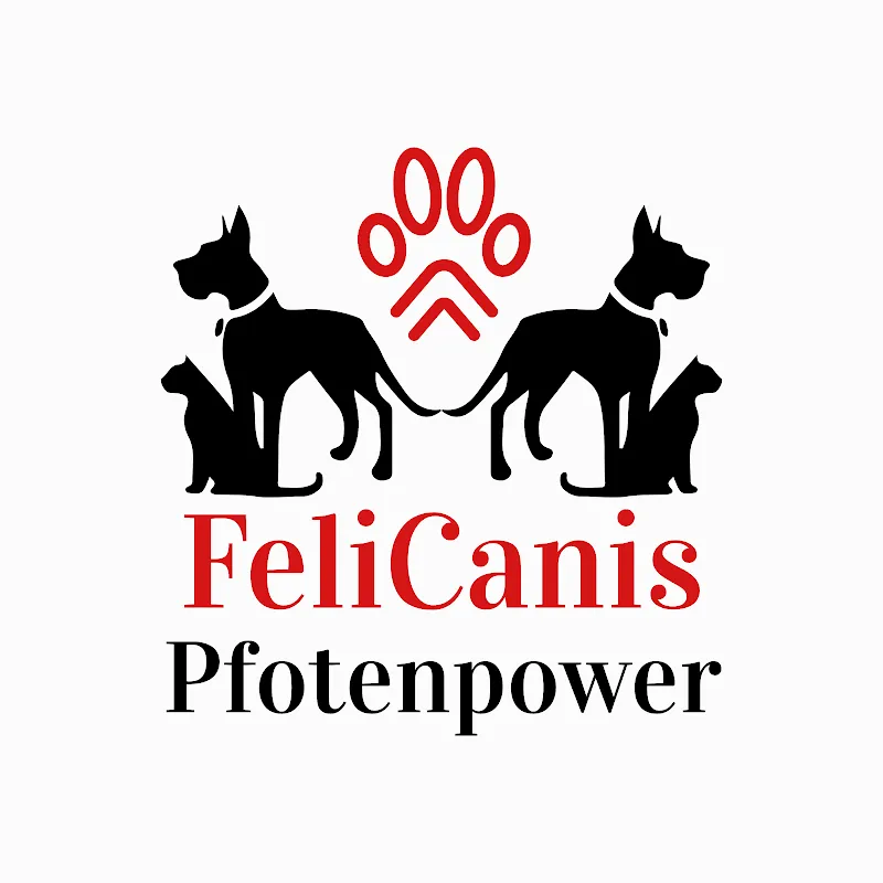 FeliCanis — Katzenpension in Mitlödi, Glarus. 