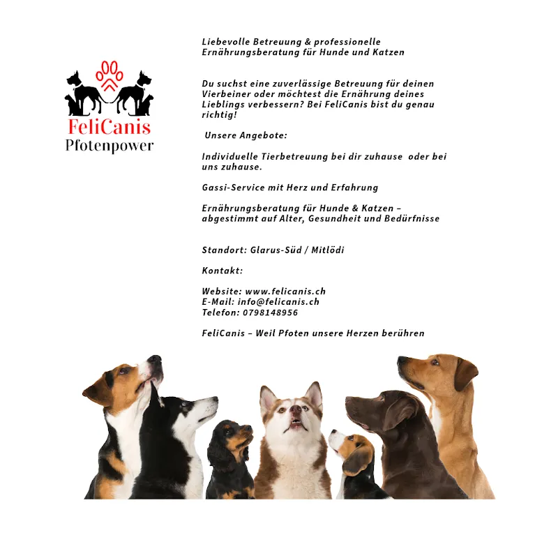 FeliCanis — Katzenpension, Mitlödi, Glarus. Foto 2