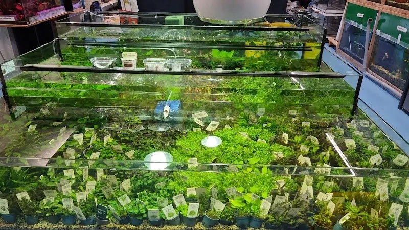 TierOase GmbH ehemals Zoo-Shop GmbH , Pfotenshop — Zoofachhandel, Gossau, St. Gallen. Foto 3