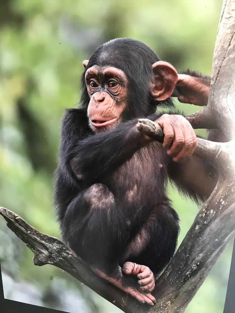 Walter Zoo — Animalerie, Gossau, Saint-Gall. Foto 2