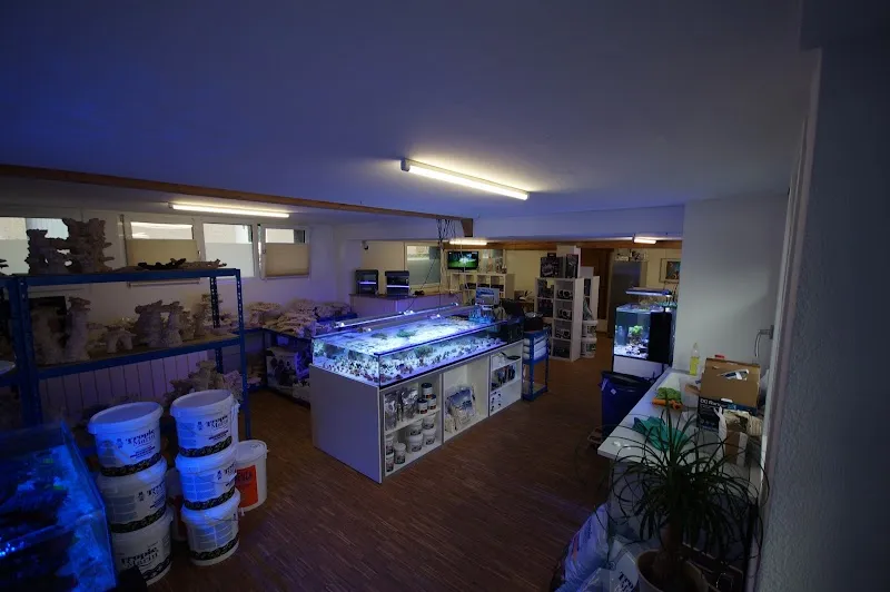 Aquariumtechnik.ch — Zoofachhandel in Balgach, St. Gallen. Bewertung 4.9/5.
