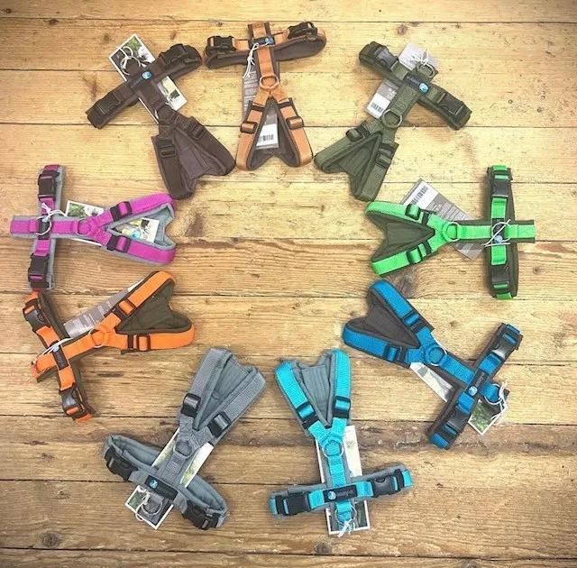 Doggy & Kitty GmbH — Zoofachhandel, Eschlikon, Thurgau. Foto 2