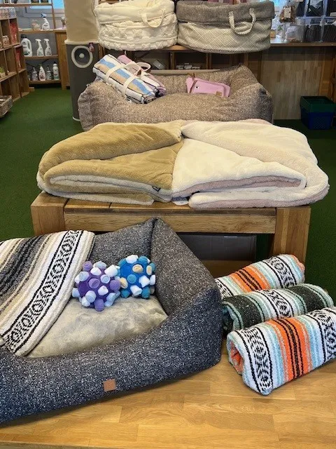 Doggy & Kitty GmbH — Zoofachhandel, Eschlikon, Thurgau. Foto 3