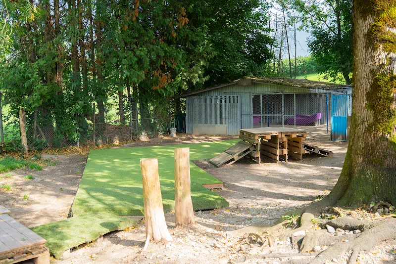 Hundeparadies Benken — Katzenpension, Benken, St. Gallen. Foto 3