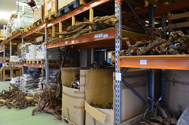 Reptiking GmbH Terraristik Shop — Zoofachhandel in Au, Genf. Bewertung 4.8/5.