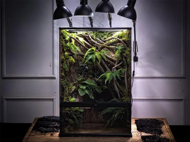 Reptiking GmbH Terraristik Shop — Animalerie, Au, Genève. Foto 3