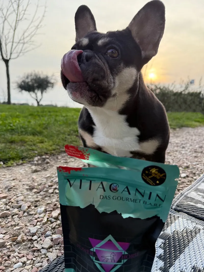 Vitacanin GmbH — Zoofachhandel in Speicherschwendi, Appenzell Ausserrhoden. Bewertung 5.0/5.