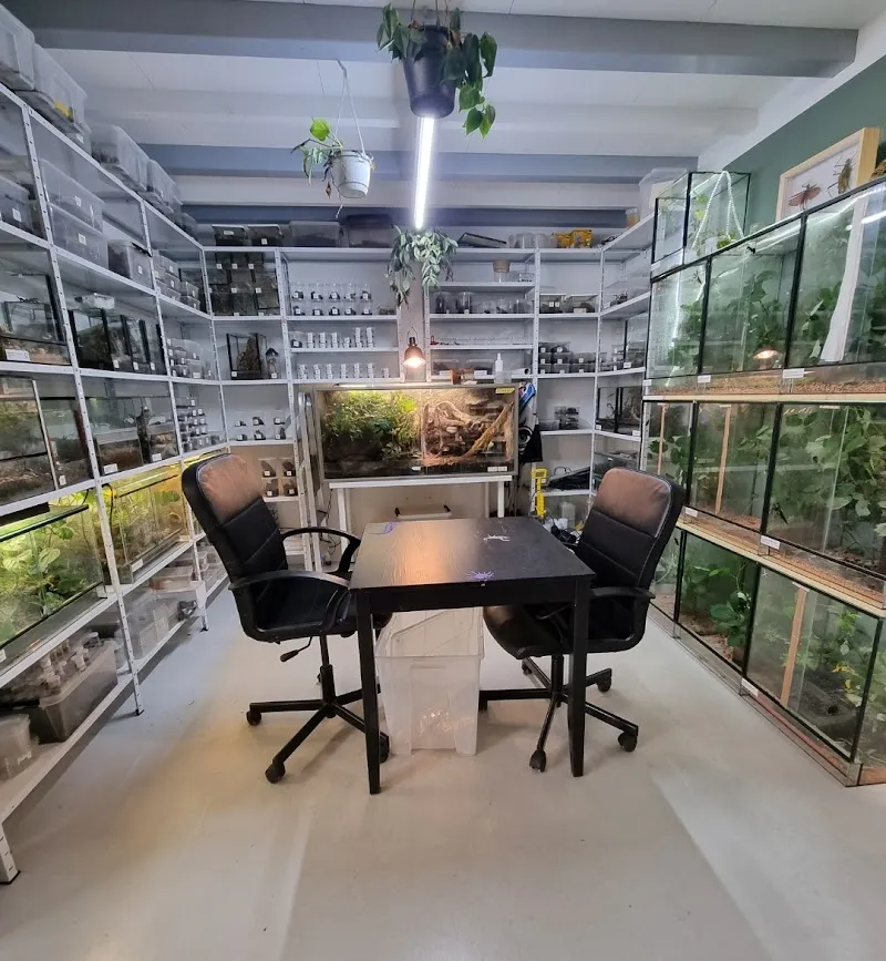 ARACHNO-ROOM — Zoofachhandel in Liestal, Basel-Landschaft. Bewertung 5.0/5.