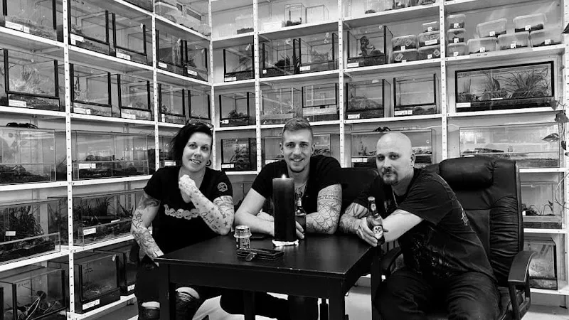 ARACHNO-ROOM — Animalerie, Liestal, Bâle-Campagne. Foto 2