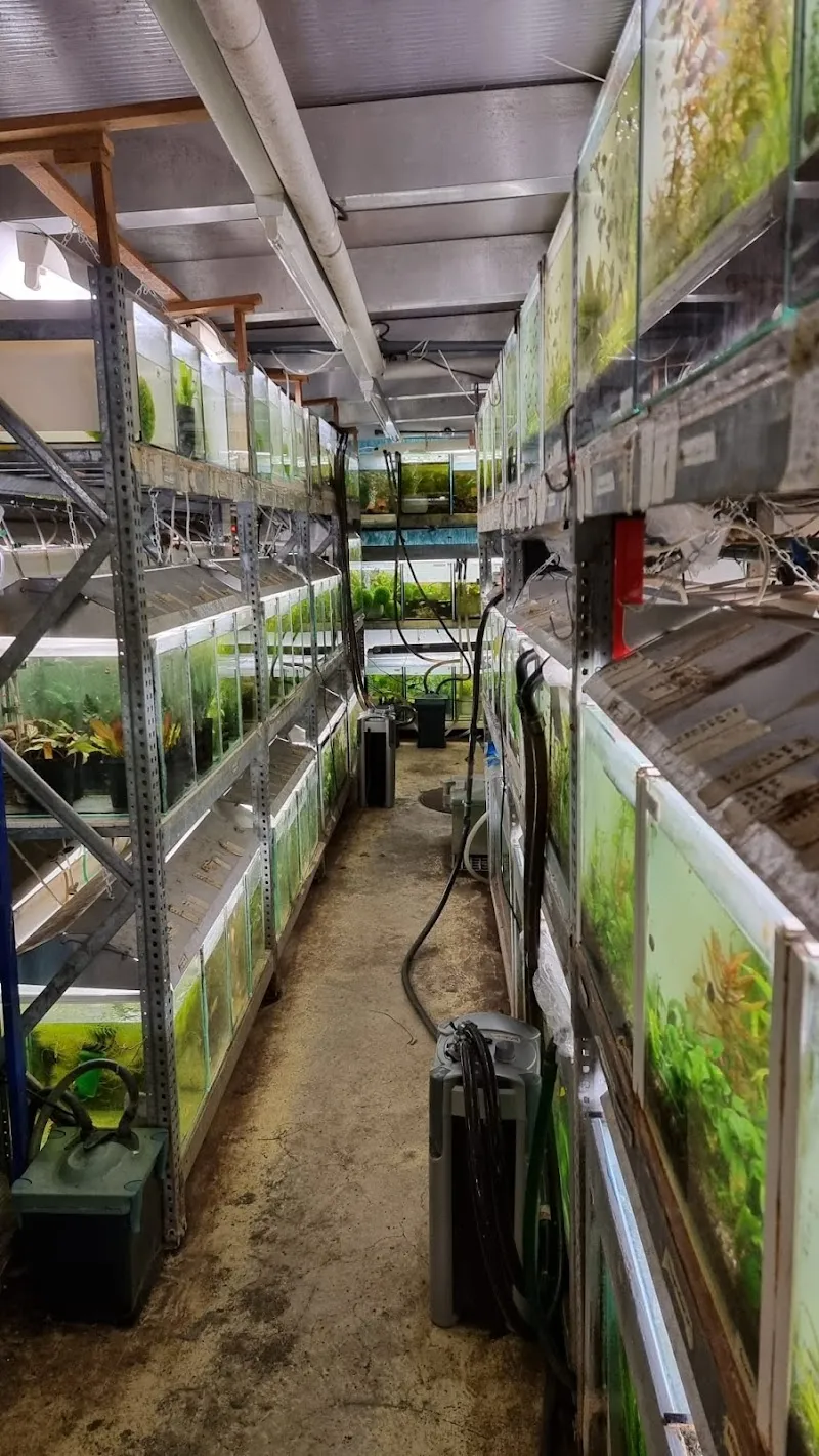 Aquarium Stern — Animalerie, Rheinfelden, Argovie. Foto 2