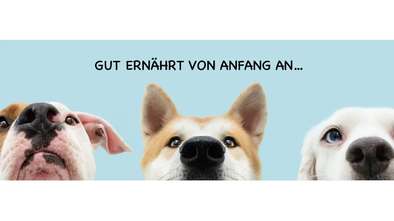 HundKatzeSchmaus — Zoofachhandel in Magden, Aargau. Bewertung 5.0/5.