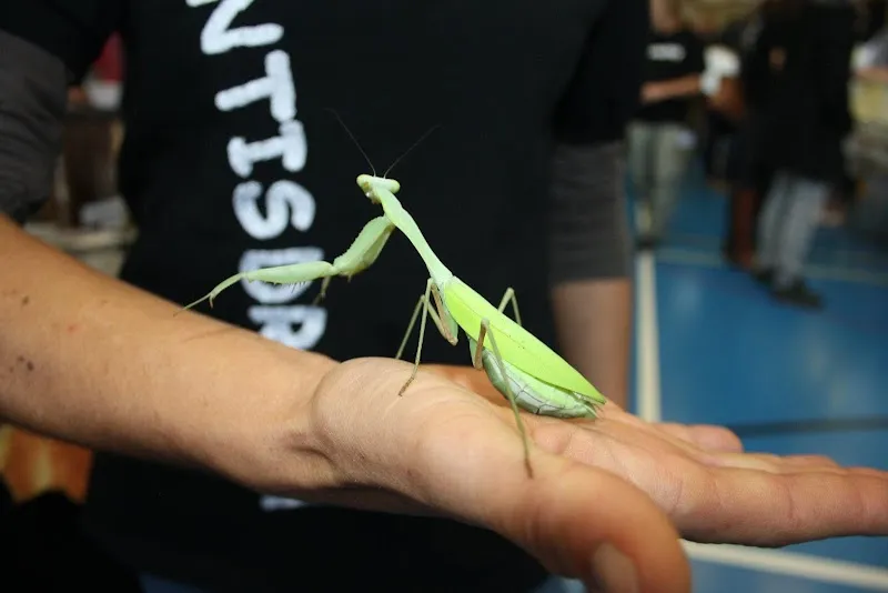 Mantisdream — Zoofachhandel, Zwingen, Basel-Landschaft. Foto 2