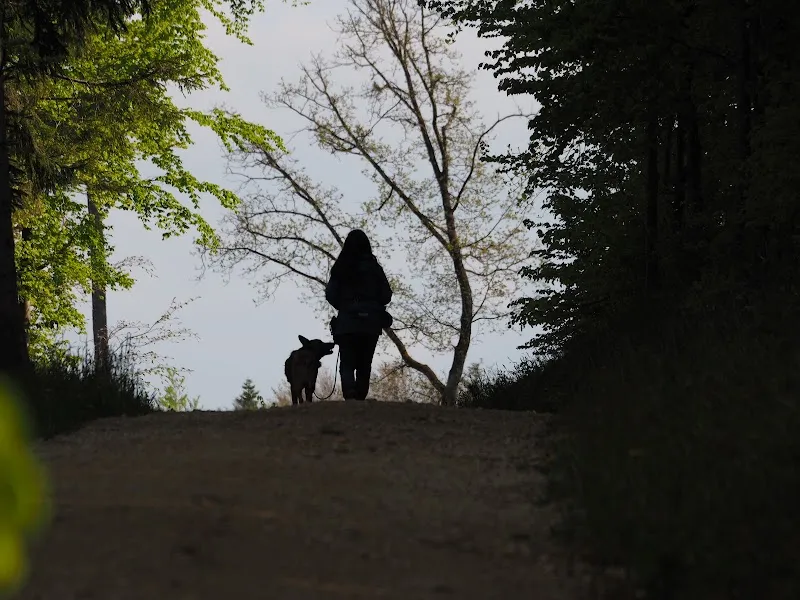 Pfotenpower Bichmann — Zoofachhandel in Arlesheim, Basel-Landschaft. Bewertung 5.0/5.