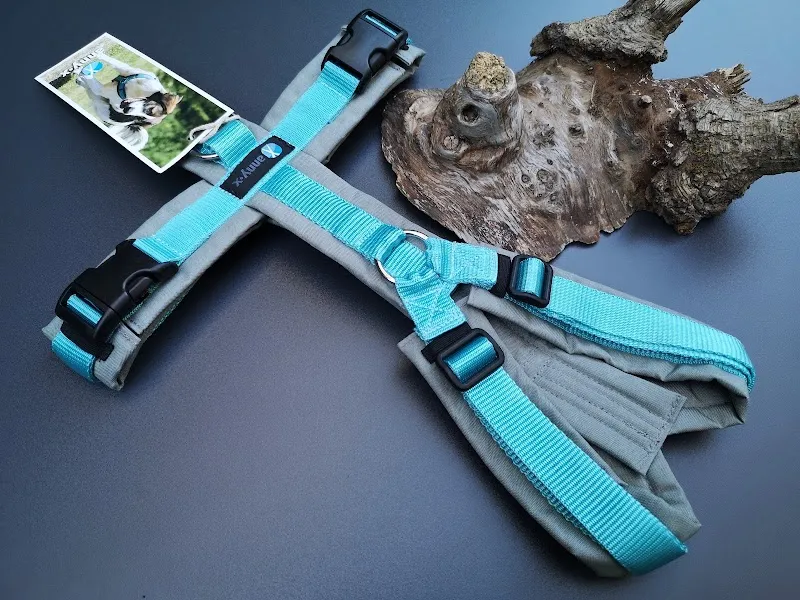 Pfotenpower Bichmann — Zoofachhandel, Arlesheim, Basel-Landschaft. Foto 2