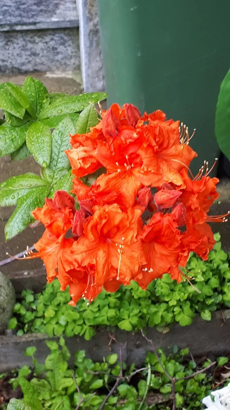 Reinach AG — Zoofachhandel in Reinach, Aargau. Bewertung 4.2/5.