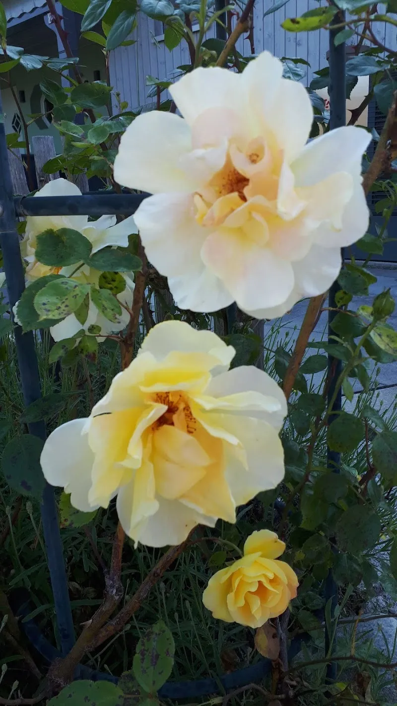 Reinach AG — Zoofachhandel, Reinach, Aargau. Foto 2