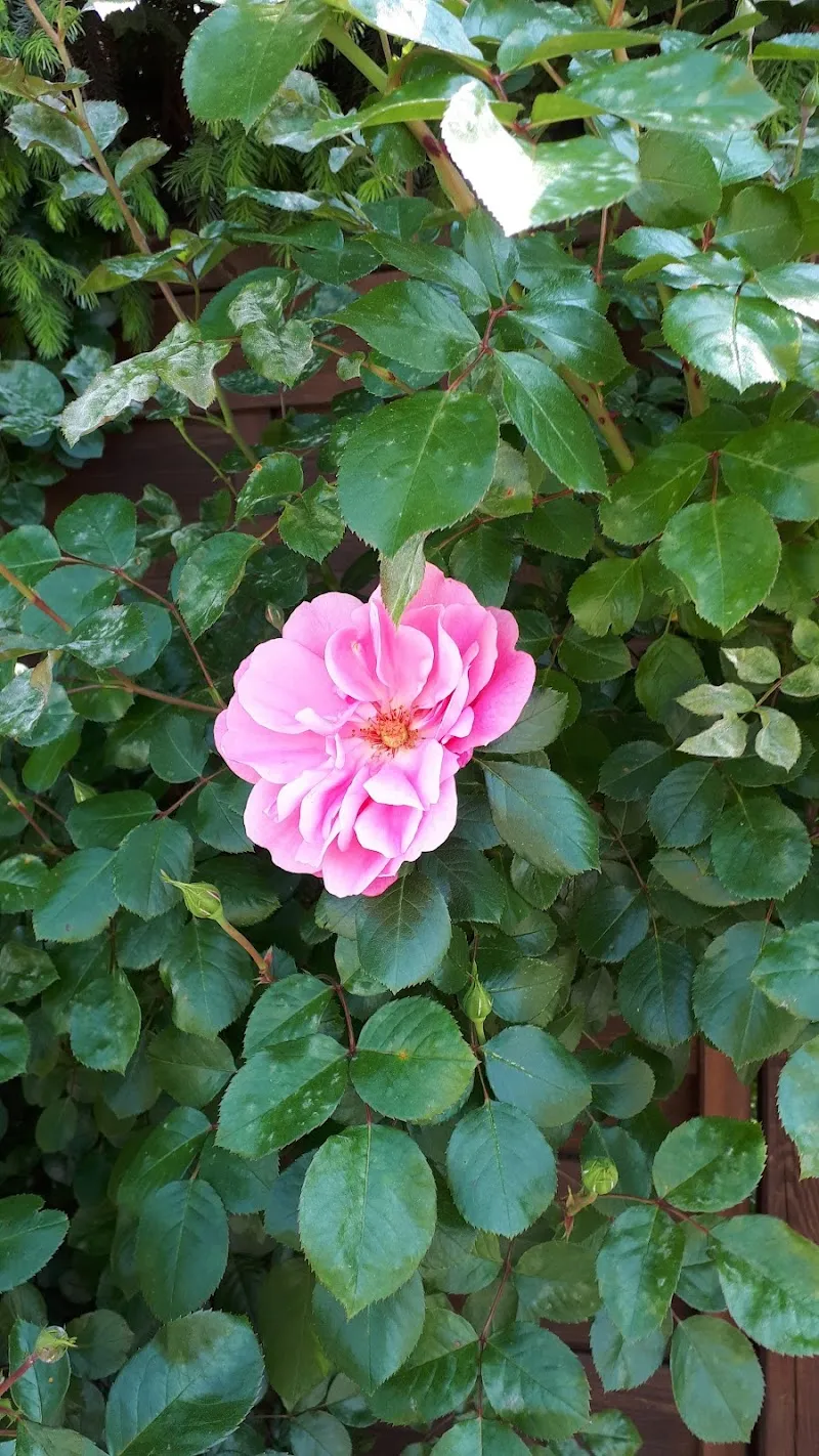 Reinach AG — Zoofachhandel, Reinach, Aargau. Foto 3