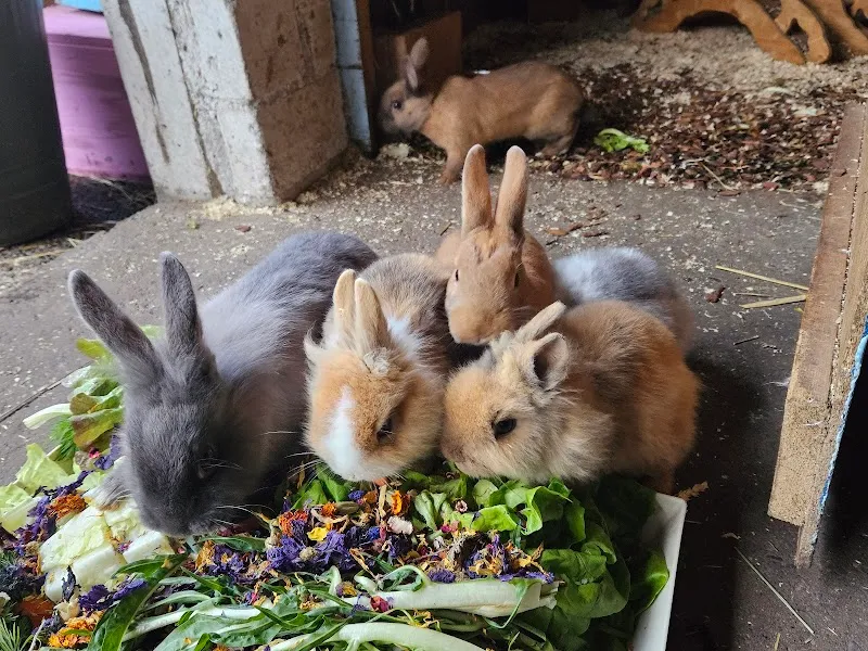 Samtpfötli Shop — Zoofachhandel, Liestal, Basel-Landschaft. Foto 3
