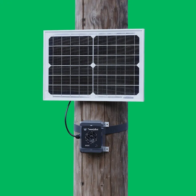 TweetyBot — Zoofachhandel in Arlesheim, Basel-Landschaft. Bewertung 5.0/5.