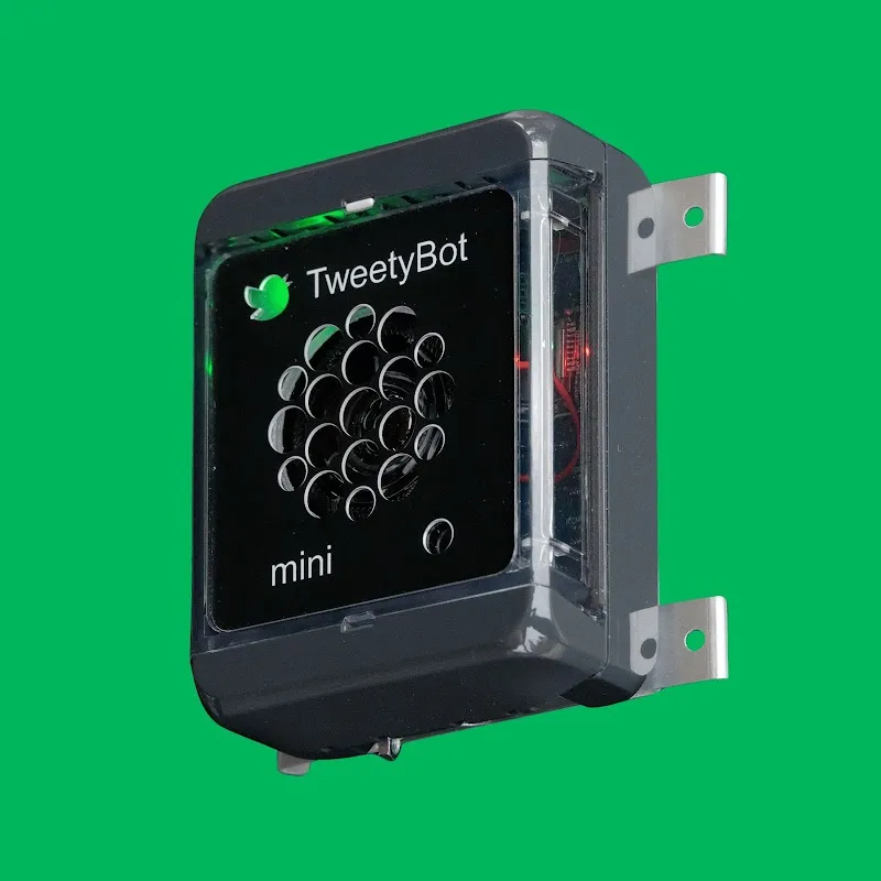 TweetyBot — Animalerie, Arlesheim, Bâle-Campagne. Foto 3