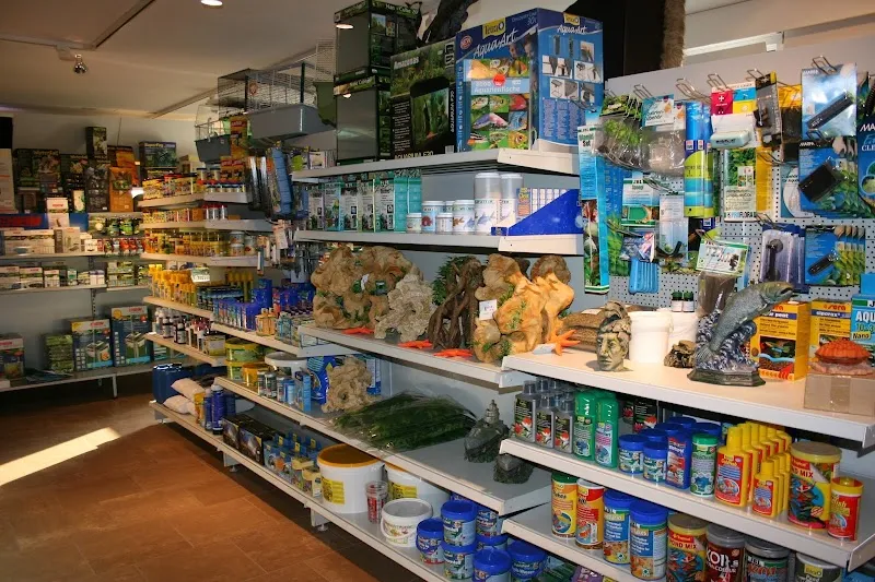 Zoo Keller — Zoofachhandel, Breitenbach, Solothurn. Foto 3