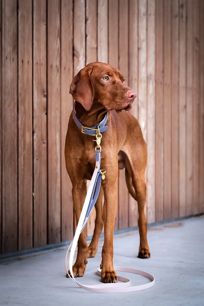 Atelier Mercy — Zoofachhandel in Basel, Basel-Stadt. Bewertung 5.0/5.