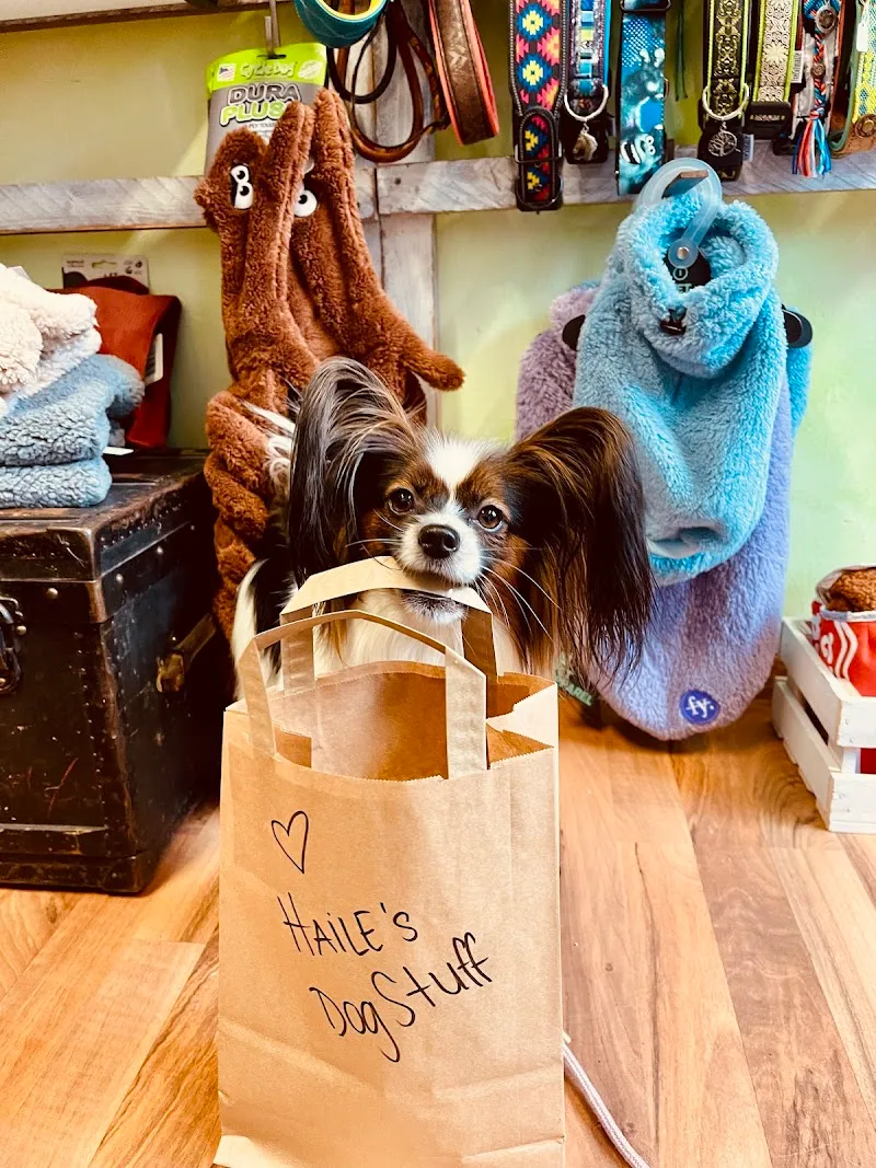 Hundeladen FreiSchnauze — Zoofachhandel in Binningen, Basel-Landschaft. Bewertung 4.9/5.