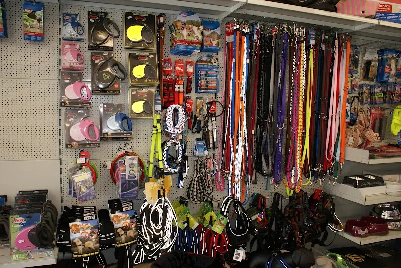 SCHNÜFFEL.CH - alles für Hunde, Katzen, Nager, Vögel & Fische. — Zoofachhandel, Möhlin, Aargau. Foto 2